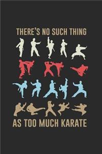 There's No Such Thing As Too Much Karate