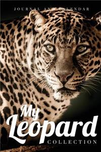 My Leopard Collection