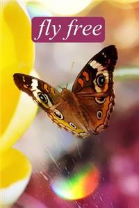 fly free