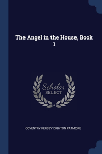 Angel in the House, Book 1