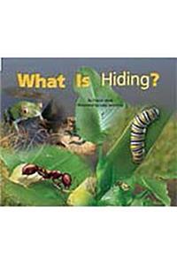 Rigby Flying Colors: Leveled Reader Bookroom Package Red What Is Hiding?