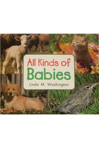 All Kinds of Babies: Leveled Reader Grade K