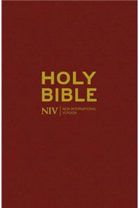 NIV Popular Burgundy Hardback Bible 20 copy pack