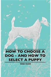 How To Choose A Dog - And How To Select A Puppy