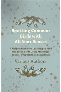 Spotting Common Birds with All Your Senses - A Helpful Guide for Learning to Find and Track Birds Using Markings, Tracks, Droppings and Dwellings