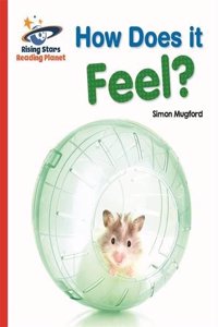 Reading Planet - How Does It Feel? - Red a