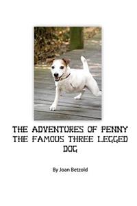 Adventures of Penny the Famous Three Legged Dog
