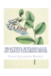 Beautiful Botanicals II - An Adult Coloring Book