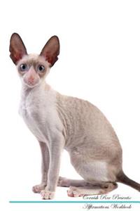 Cornish Rex Affirmations Workbook Cornish Rex Presents