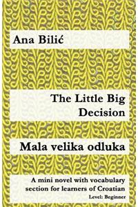 The Little Big Decision / Mala Velika Odluka: A Mini Novel with Vocabulary Section for Learners of Croatian