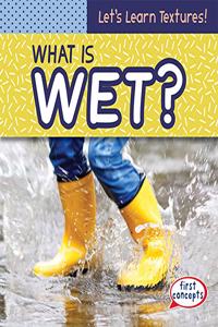 What Is Wet?