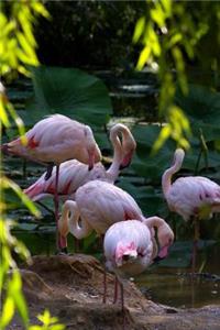 A Flamboyance of Pretty Pink Flamingos Journal