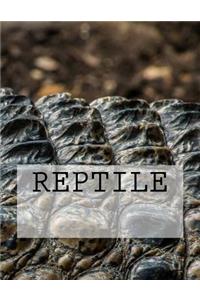 Reptile