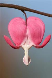 Dicentra Bleeding Heart Flower Journal