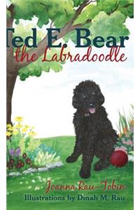 Ted E. Bear the Labradoodle