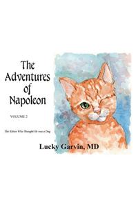 The Adventures of Napoleon, Volume 2
