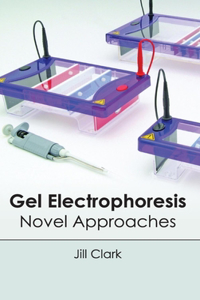 Gel Electrophoresis: Novel Approaches