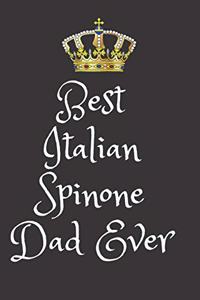 Best Italian Spinone Dad Ever