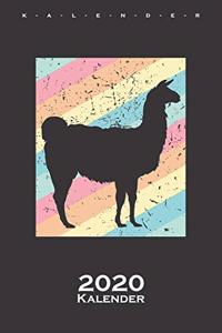 Retro Lamaschatten Kalender 2020
