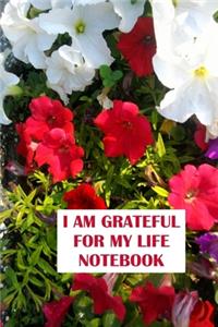 I am Grateful for My Life