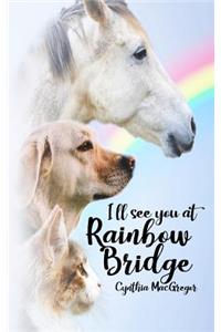 I'll See You at Rainbow Bridge