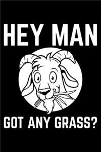 Hey Man Got Any Grass?