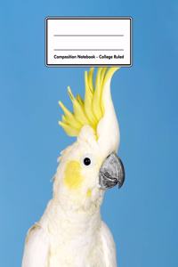Composition Notebook - College Ruled