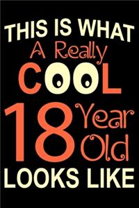 A Really Cool 18 Year Old