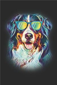 Bernese Mountain Dog