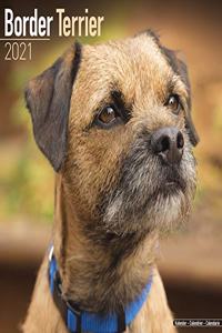 Border Terrier 2021 Wall Calendar