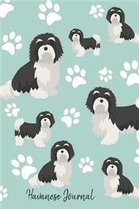 Havanese Journal