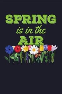 Spring Is in the Air