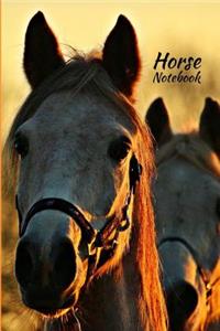 Horse Notebook