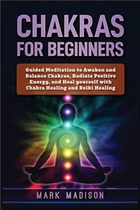 Chakras for Beginners