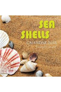 Sea Shells Calendar 2018