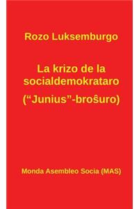 La krizo de la socialdemokrataro (