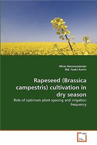 Rapeseed (Brassica campestris) cultivation in dry season