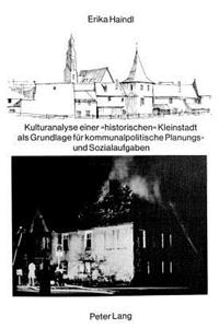 Kulturanalyse einer «historischen» Kleinstadt als Grundlage fuer kommunalpolitische Planungs- und Sozialaufgaben