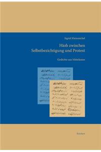 Hiob Zwischen Selbstbezichtigung Und Protest