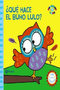 Â¿Que hace el buho Lulo? / What does the owl Lulo?