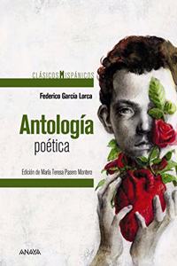 Antologia poetica/ Poetry Anthology (Clasicos Hispanicos)