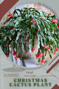 Christmas Cactus Plant
