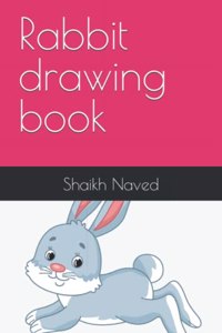 Rabbit drawing book