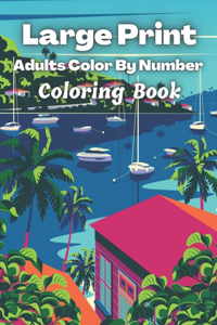 Large Print Adults Color By Number Coloring Book