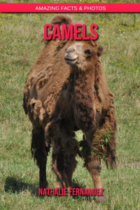 Camels