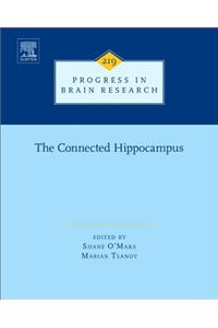 The Connected Hippocampus