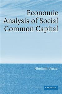 Economic Analysis of Social Common Capital