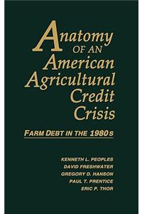 Anatomy of an American Agricultural Credit Crisis