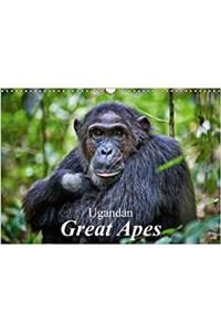 Ugandan Great Apes 2018