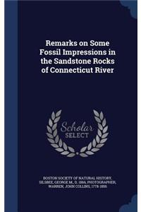 Remarks on Some Fossil Impressions in the Sandstone Rocks of Connecticut River